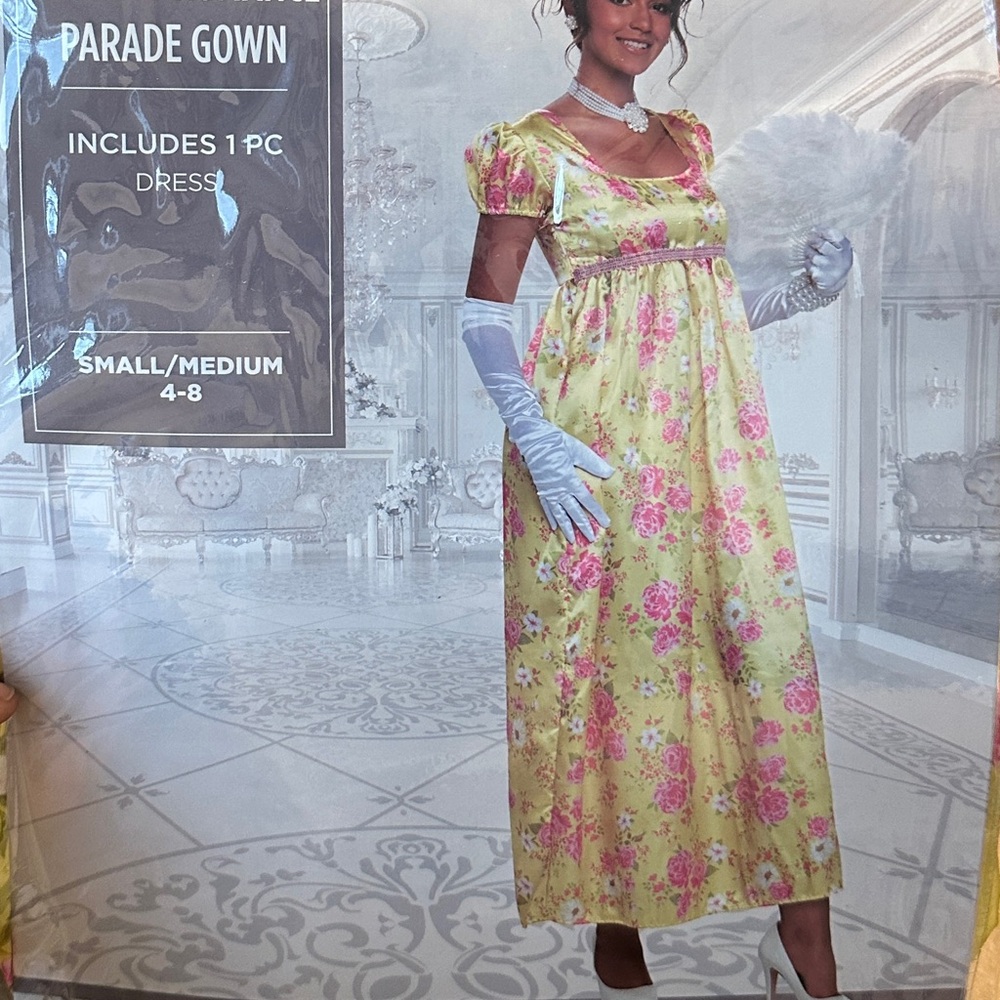 Bridgerton Style Gown